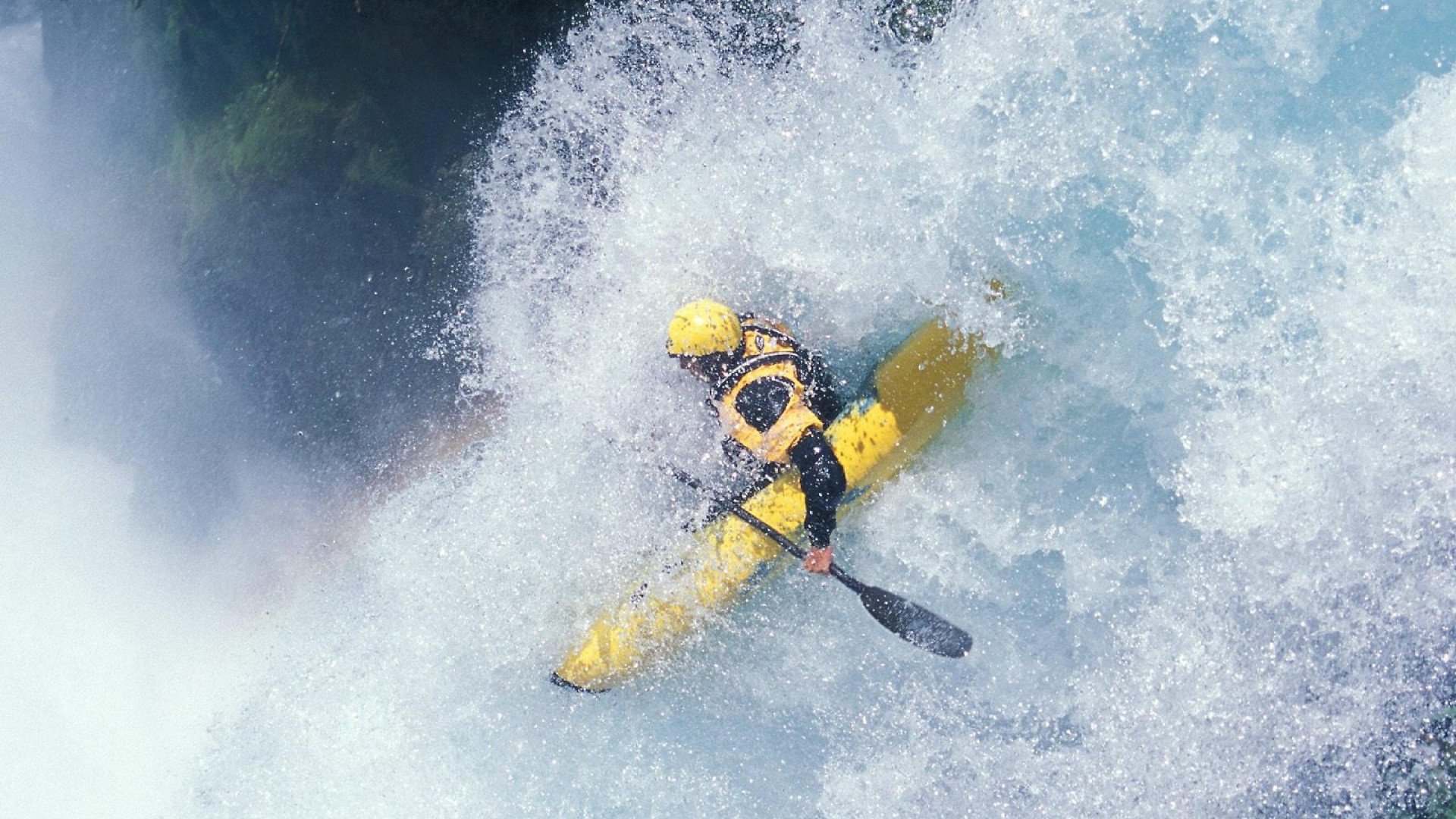 体育赛事观众行为研究